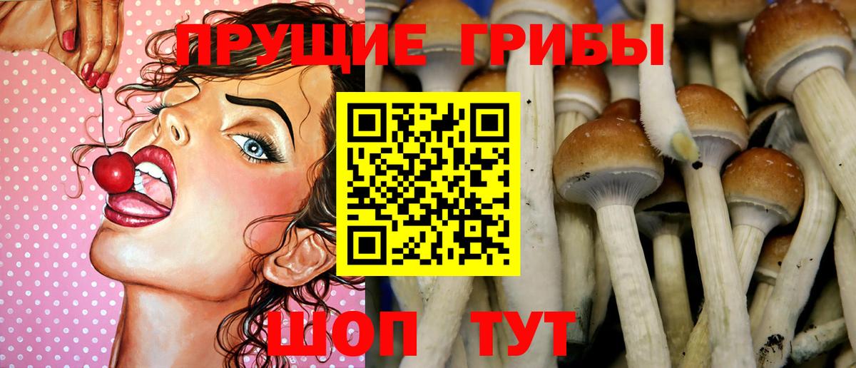Галлюциногенные грибы мицелий Соль-Илецк