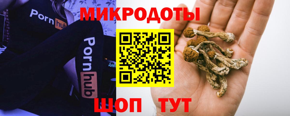 Соль-Илецк  Псилоцибиновые грибы ЛСД  Псилоцибиновые грибы MAGIC MUSHROOMS  Вход с VPN 
